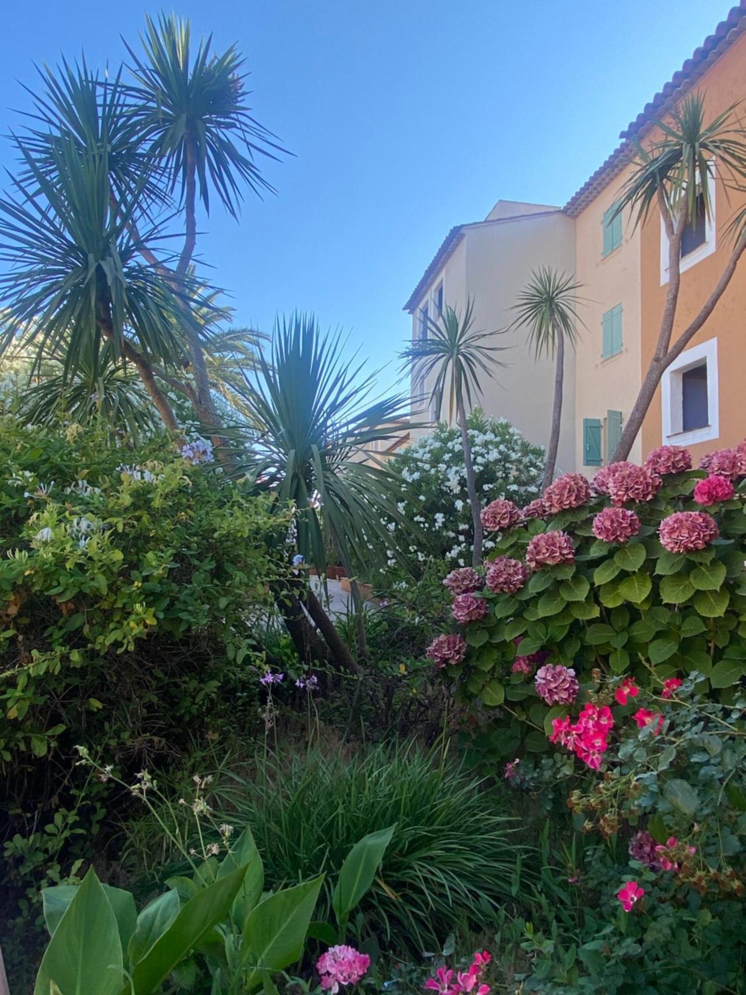 2 Bedrooms, 15 Min Walk To Beach, Ac, Pool & Fiber Internet In A Quiet, Private Gated Domain 5Kms To St Tropez Cogolin Eksteriør bilde